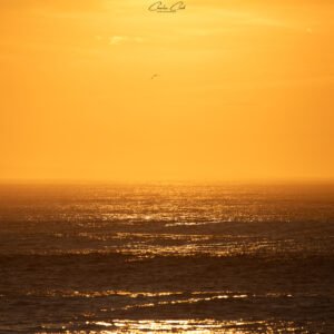 Lumière : un sombre océan