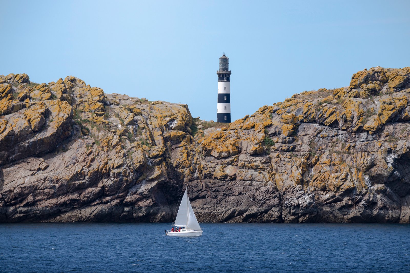 La voile et le zèbre
